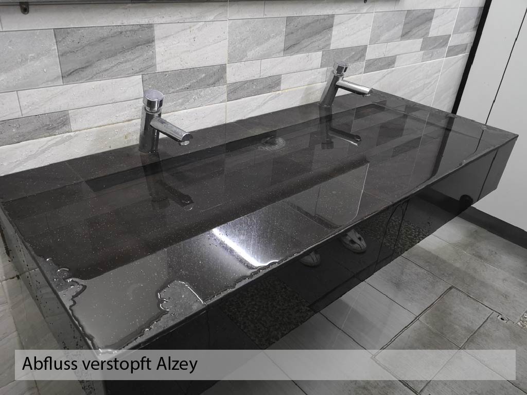 Abfluss verstopft Alzey